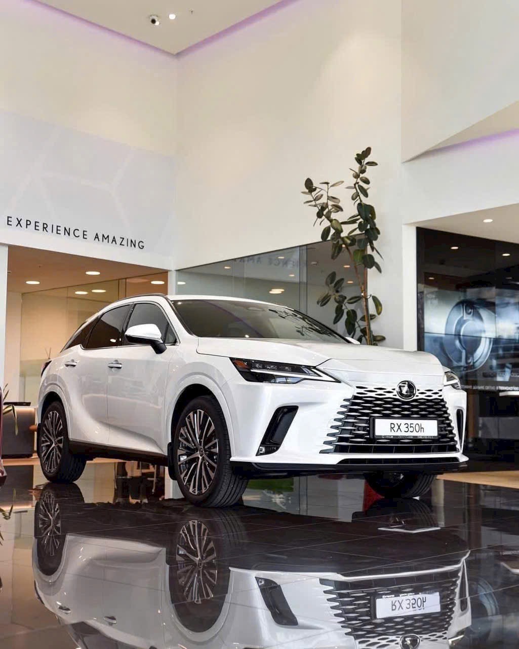 Lexus RX 350 Hybrid Premium