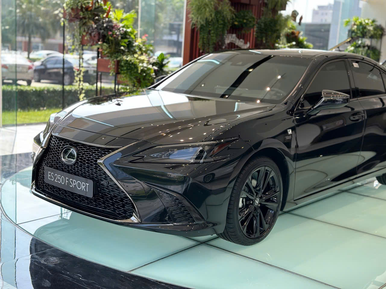 Đầu xe Lexus ES 250 F Sport 